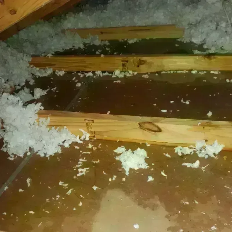 Attic Water Damage in Wayne County, GA