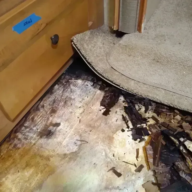 Wood Floor Water Damage in Wayne County, GA